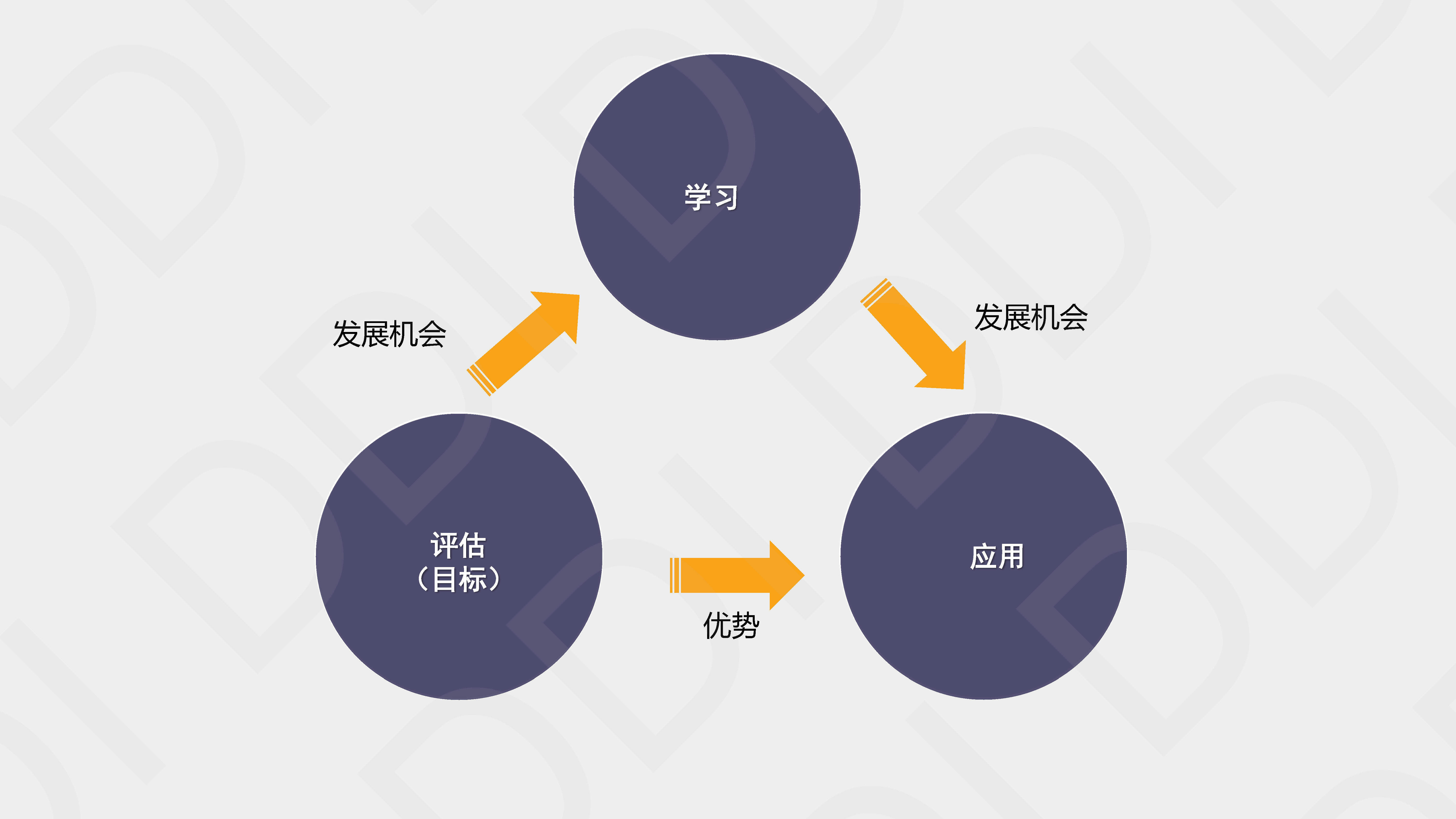 测评在人才管理中的功能和应用